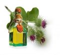 Репейное масло для волос: польза, применение, маски