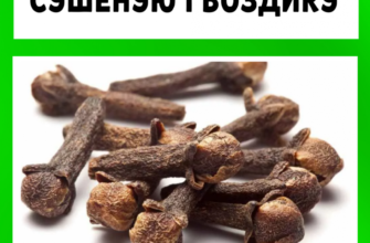 Семейный врач велел жевать сушеную гвоздику... Потрясающий эффект!