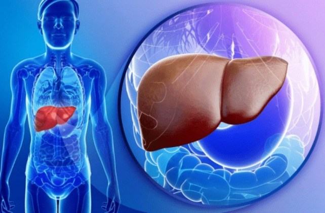 10 симптомов, которые укажут на проблемы с печенью0