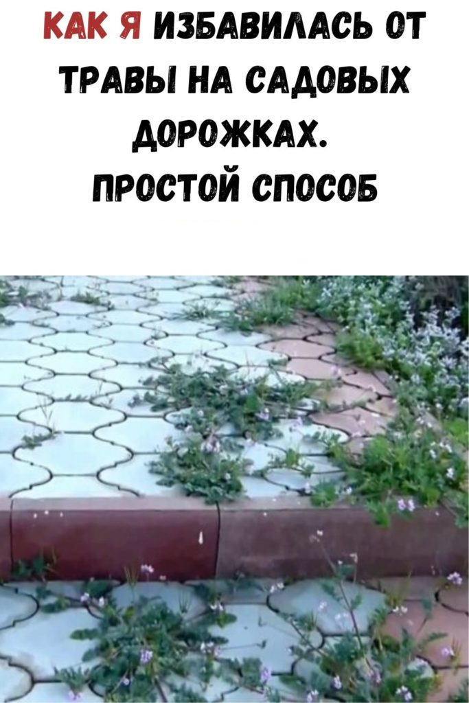 Как я избавилась от травы на садовых дорожках. Простой способ